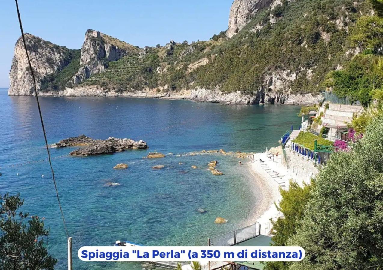 Siren Land - Marina Del Cantone Nerano Kültér fotó